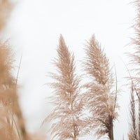 サンプルグループ-7