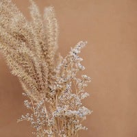 サンプル公式グループ-2