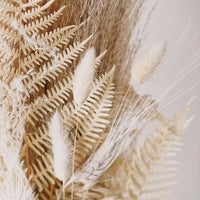 サンプル公式グループ-1