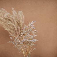 サンプル公式グループ-2