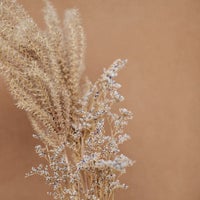 サンプル公式グループ-2