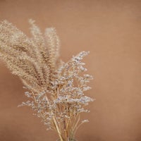 サンプル公式グループ-2