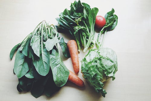 「オシロの野菜給　春ver.」のサムネイル画像