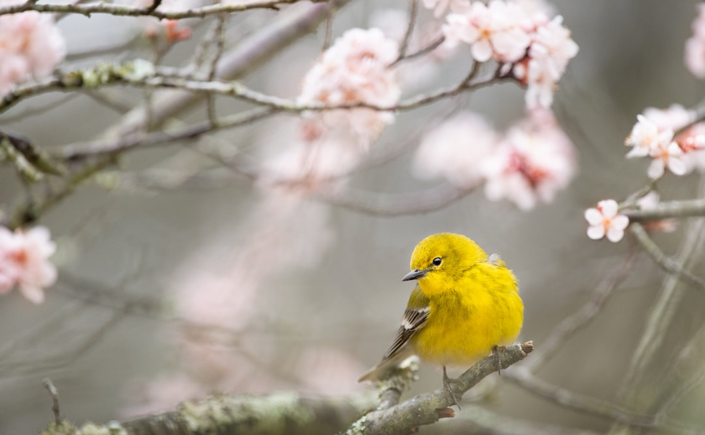 外部公開イベント