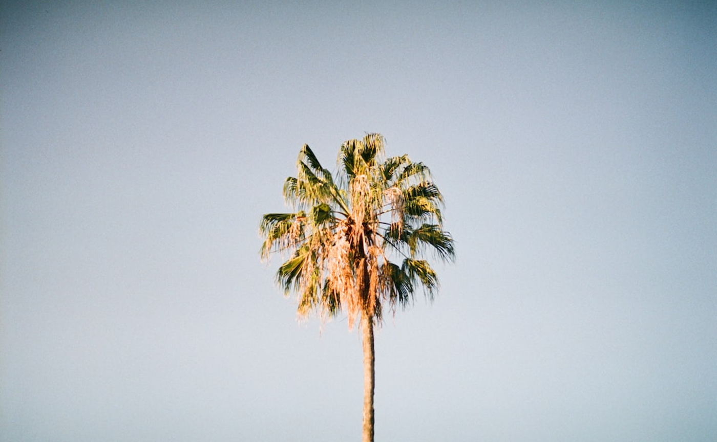 【タイムライン】を使いこなそう