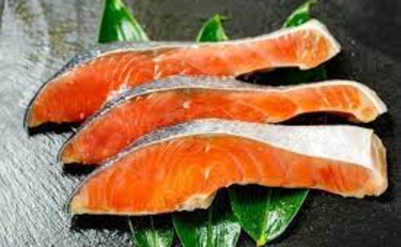 【コピー】しゃけの放流２