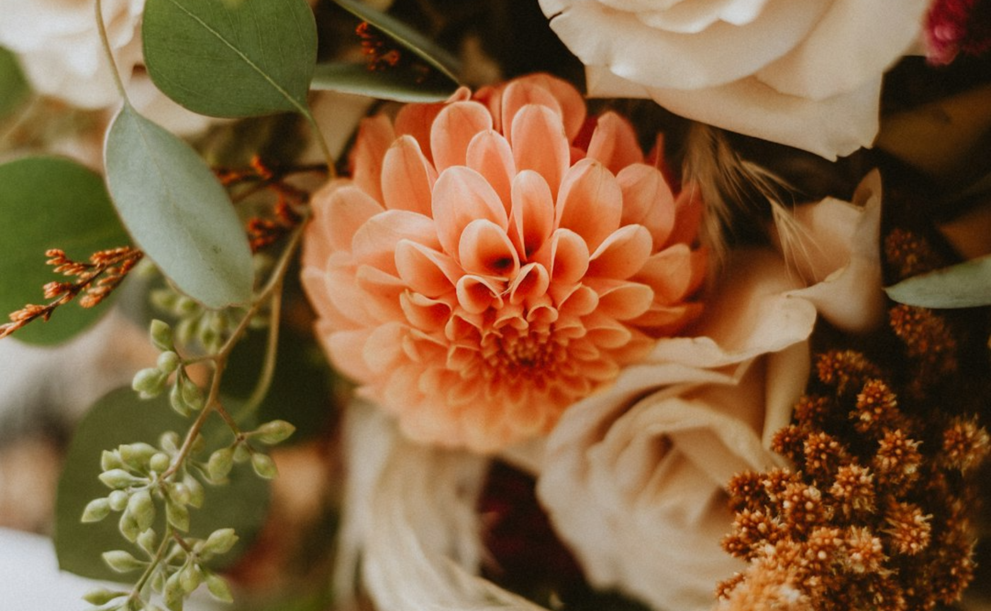 エディタ透明度テスト用（編集を保存しないで）