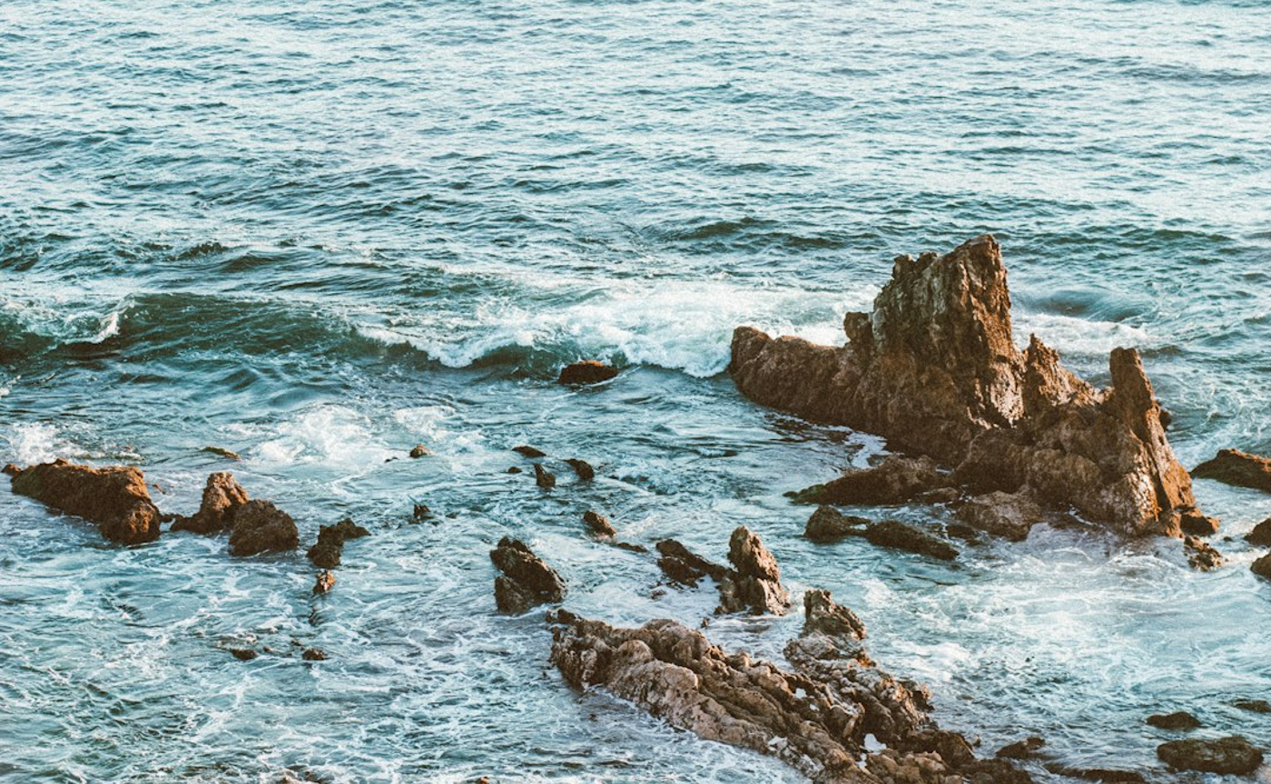 テスト（2024/02/26）