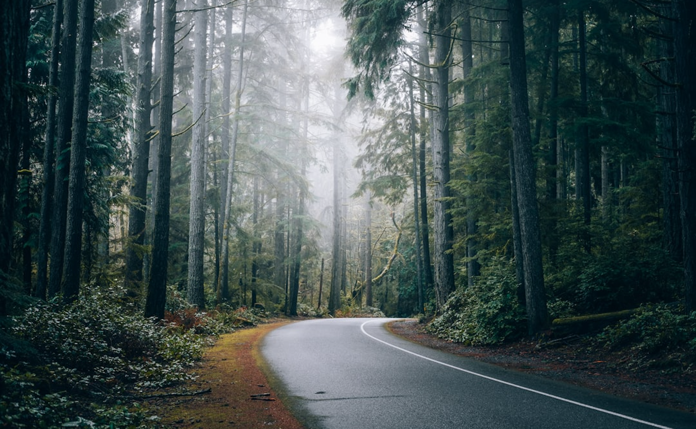 2024/02/29　1回目