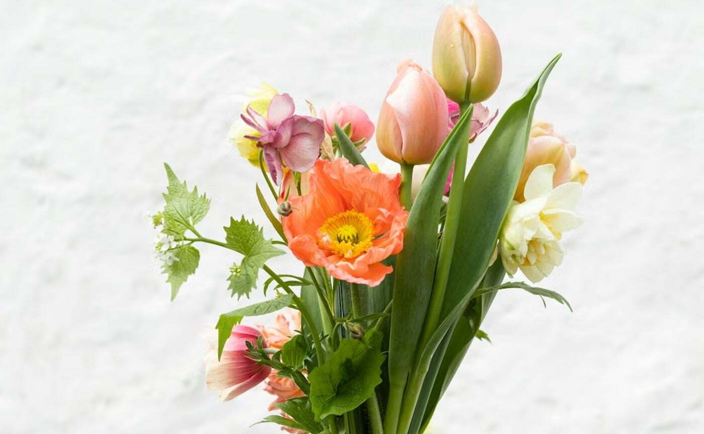 プラン解約（休会）と退会について