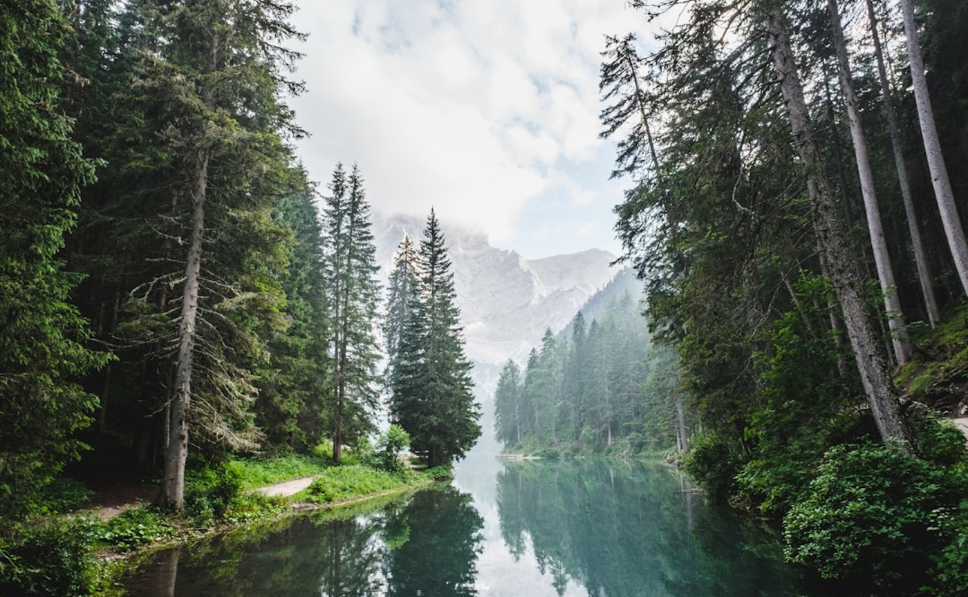 Member's Voice パターン１：リッチなイラスト