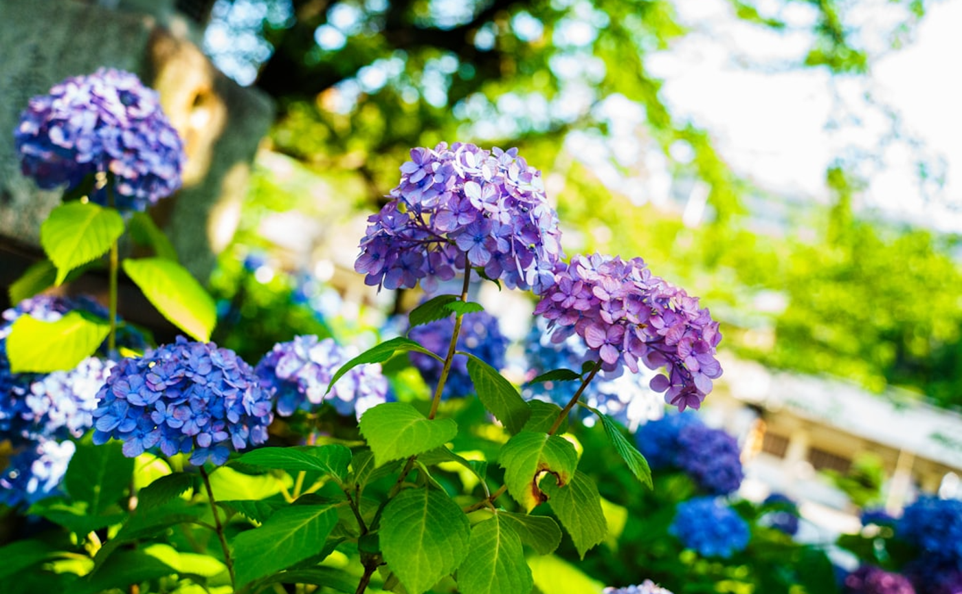 雨の日の過ごし方