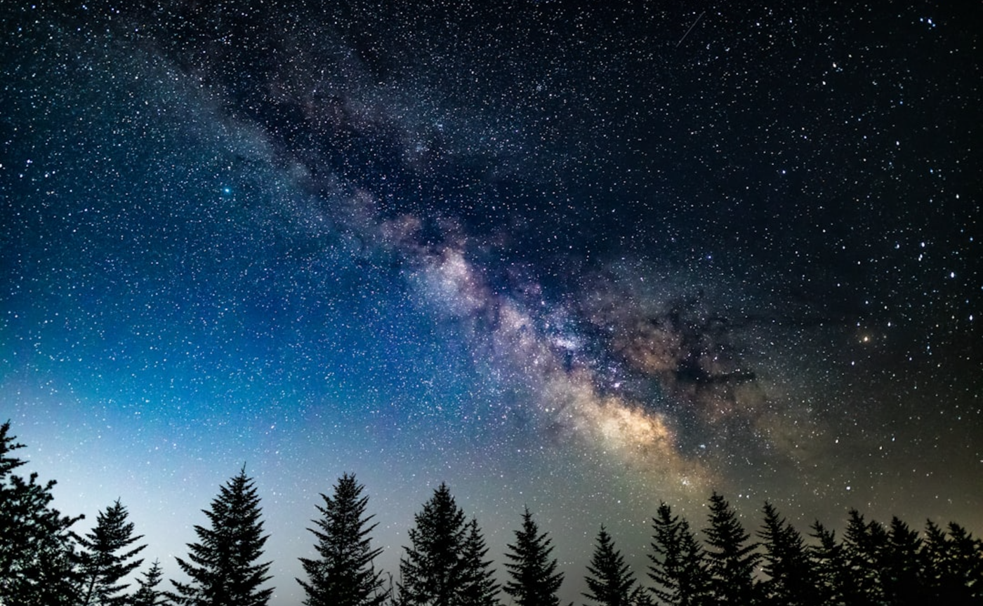 最近良かった本を紹介します