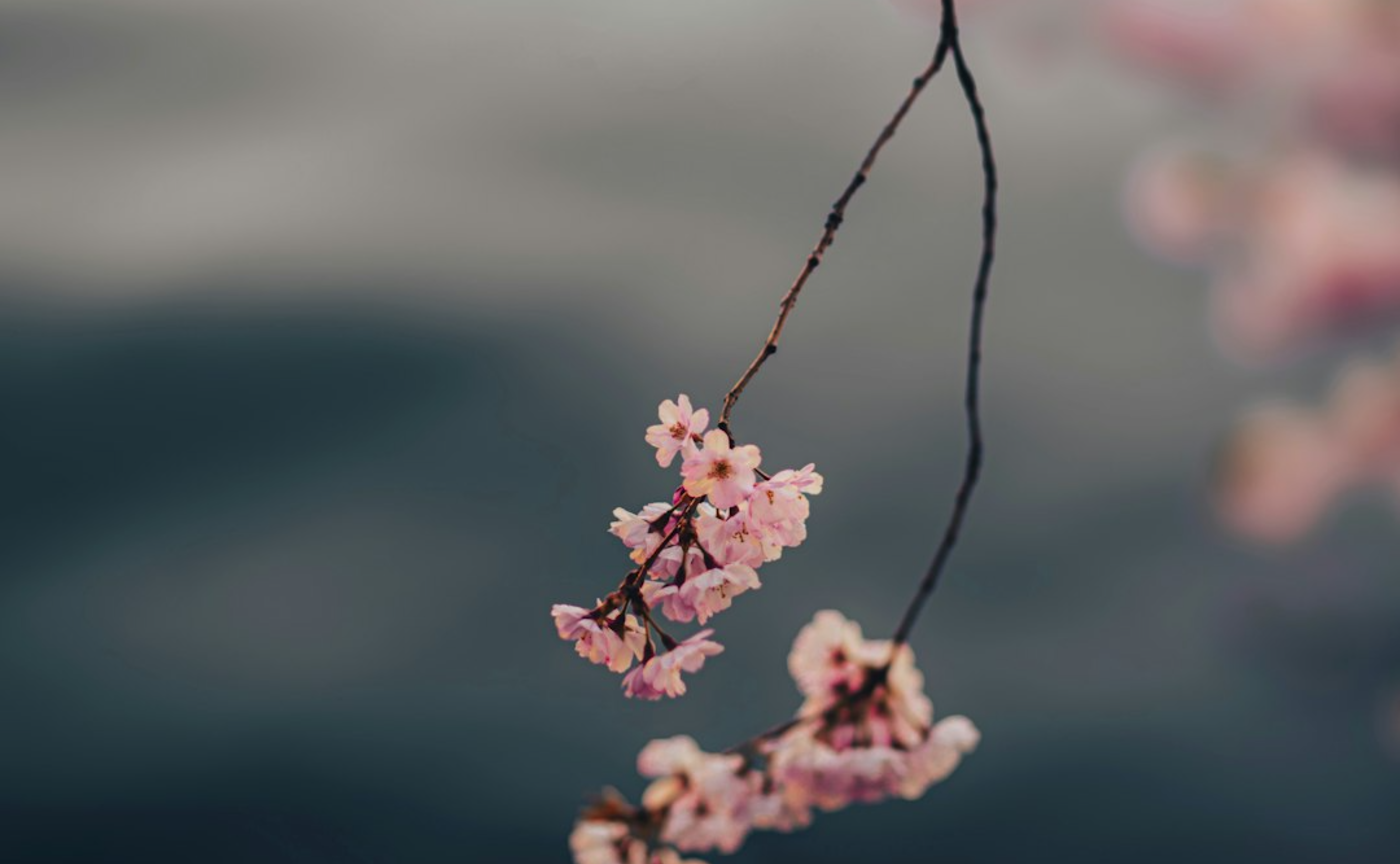 【コピー】LINE連携テスト