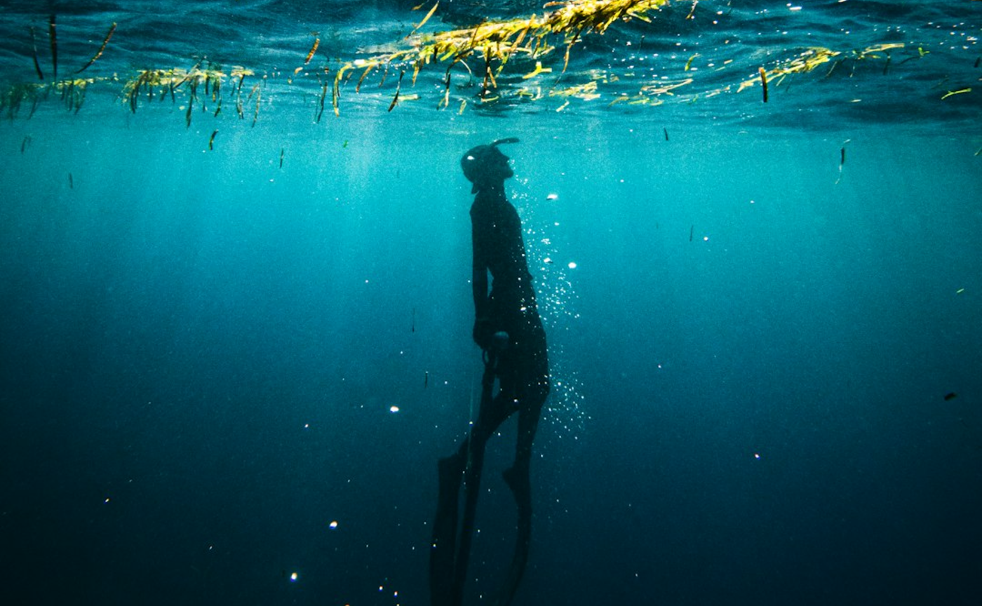 ๅค้จใณใณใใณใใขใณใฑใผใใในใ