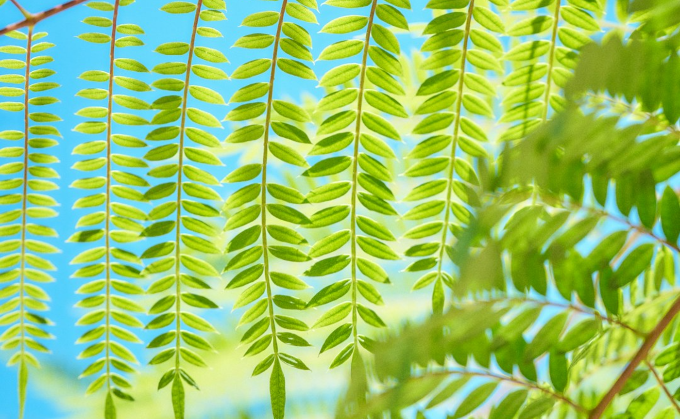 アプリ遷移テスト