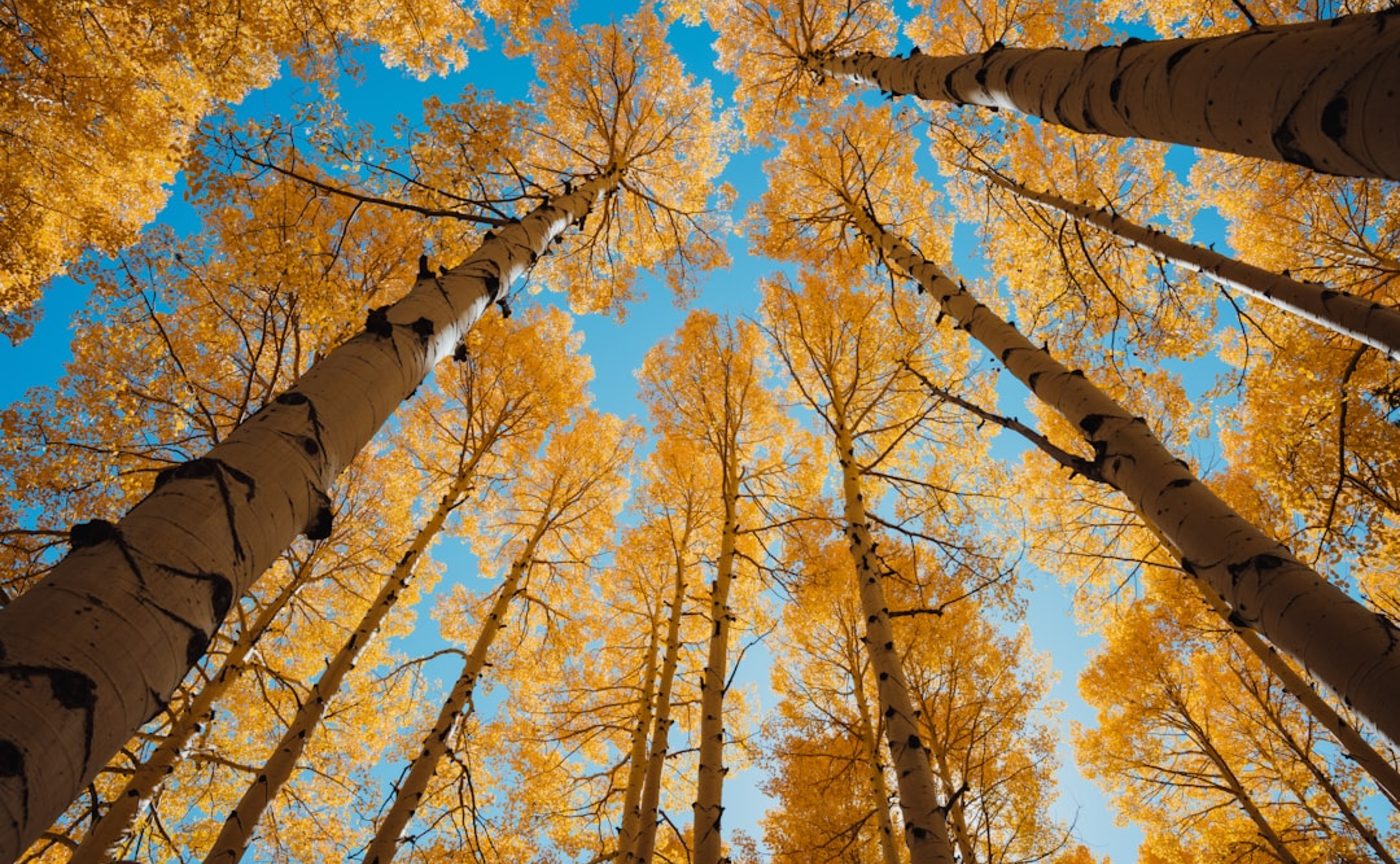 【コピー】外部公開テスト