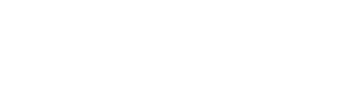 THE BLUE COMMUNITY